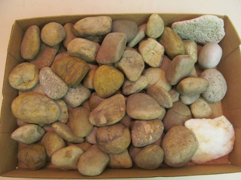 lot 237 image: Group of Decorative Rocks