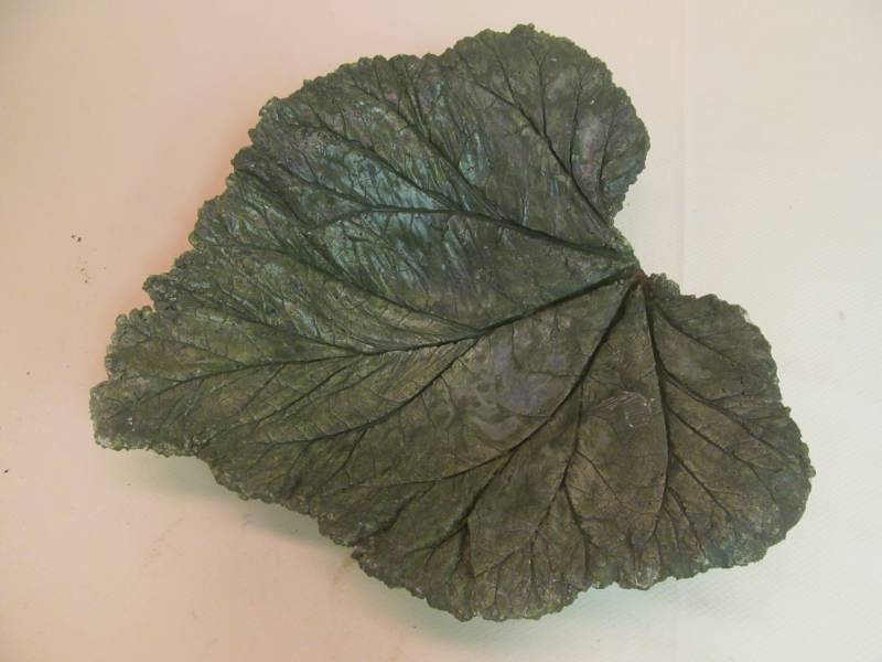 lot 240 image: Concrete Leaf