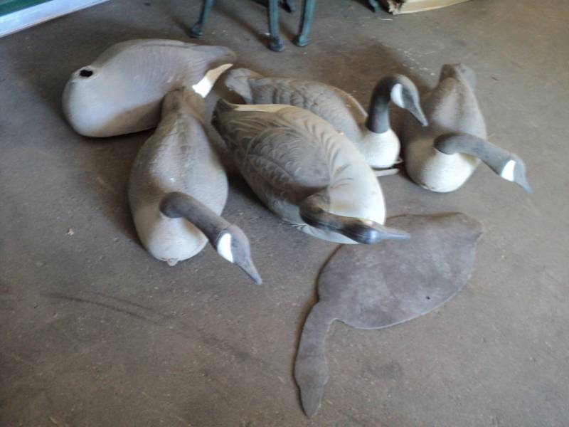 lot 149 image: 4 Goose Decoys and Extra Shell...