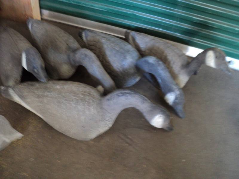 lot 150 image: 5 Goose Decoys...