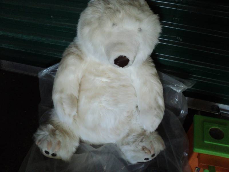 lot 167 image: Polar Bear and more...