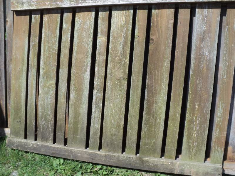 lot 257 image: Fence Cedar Panel 65 x 47...