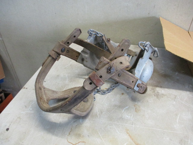 lot 53 image: Russell Bull Halter