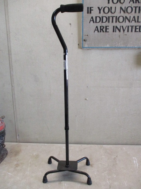 lot 149 image: Cane