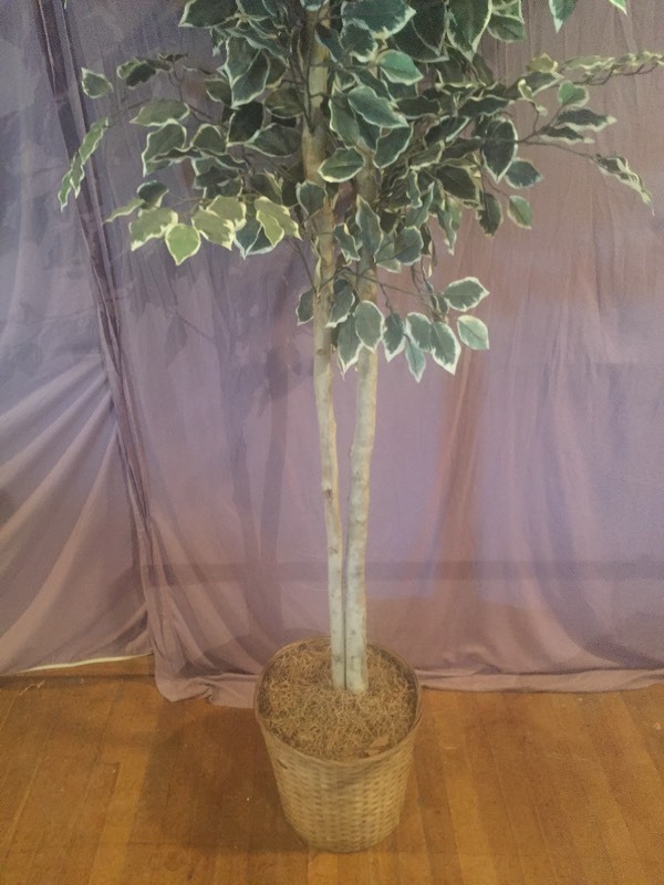 lot 3 image: 7 Tall Artificial Tree
