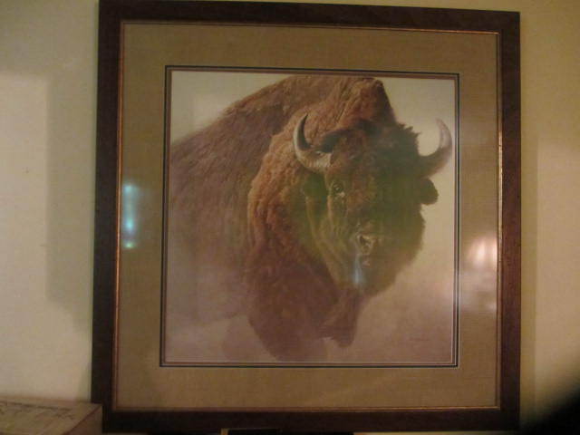Buffalo Print