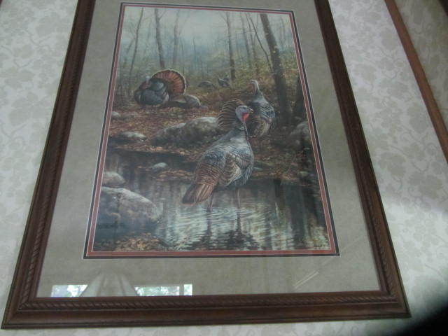 Back Water Passage-Wild Turkeys