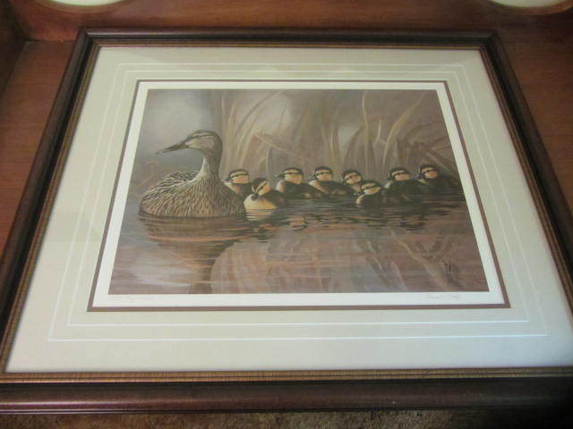 Wood Duck Family