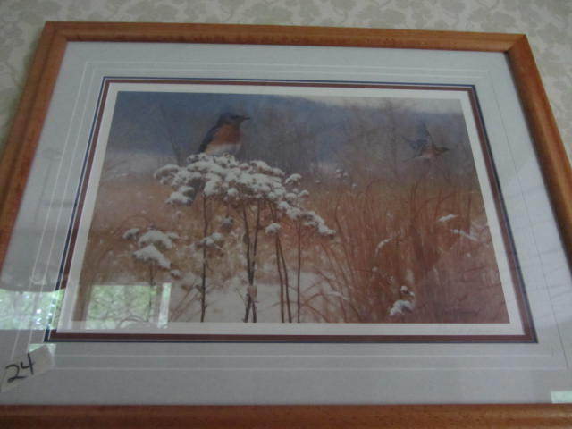 Bluebirds Print
