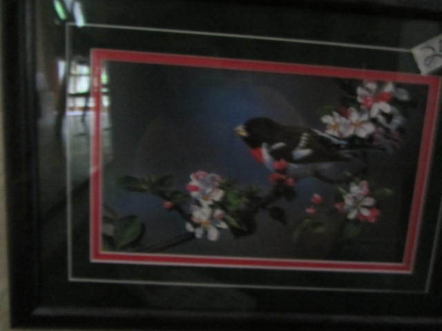 Grosbeak Print