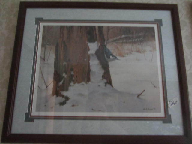 Nuthatch Print