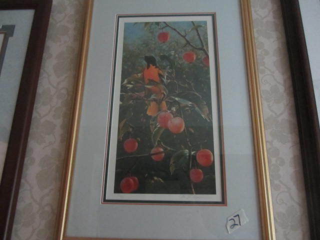 Oriole Print