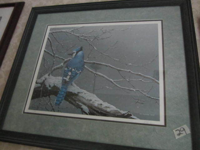 Blue Jay Print