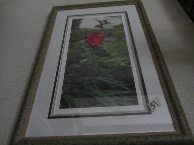Hummingbird Print