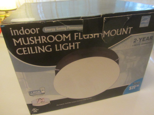 New Light Fixture