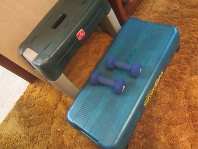 Bench & Fitness Stepper