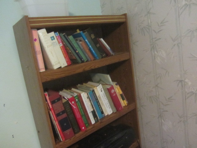 Books, Shelf, Boom Box