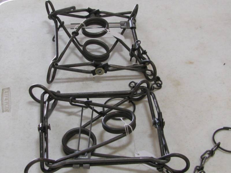 lot 23 image: Conibear #220 Traps