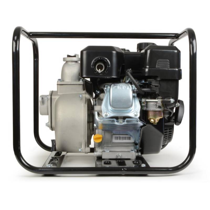 lot 318 image: Everbilt 5.5 HP Gas-Powered Utility Pump WG20