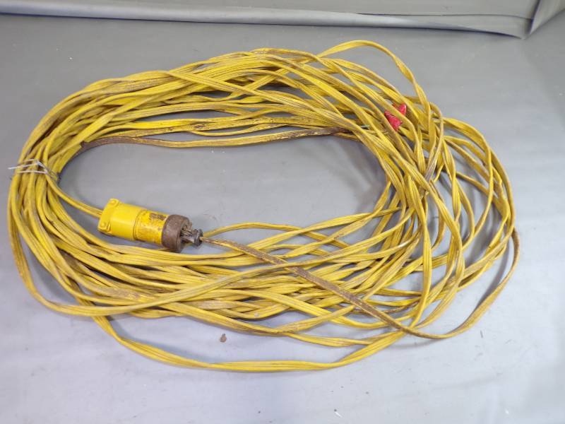 lot 26 image: Large Extension Cord