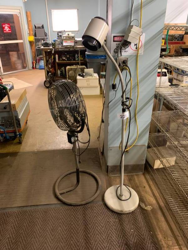 Fan & light