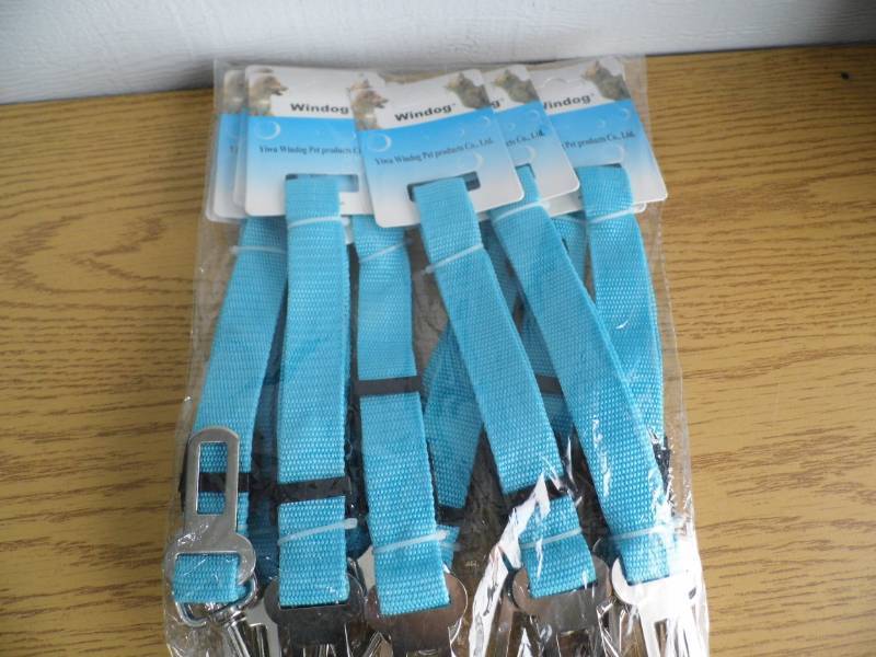 Lot of 10 Windogs
