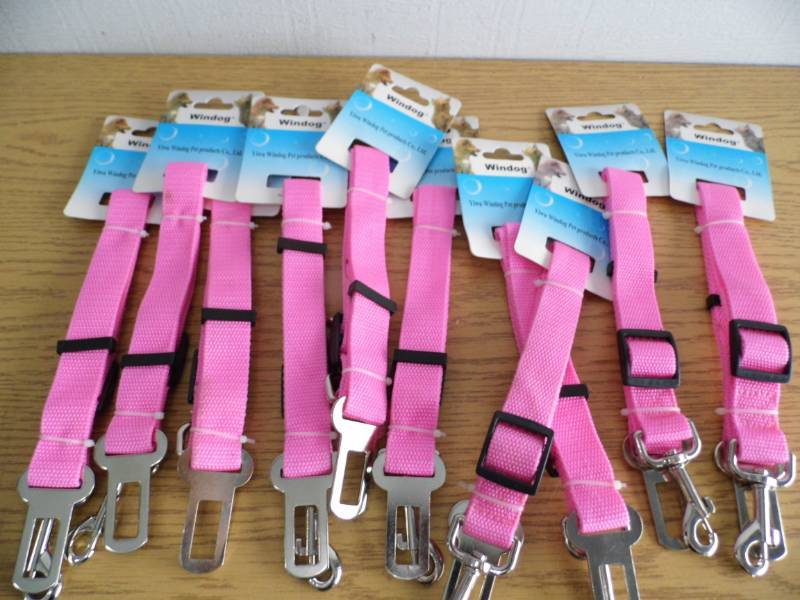 Lot of 10 Windogs