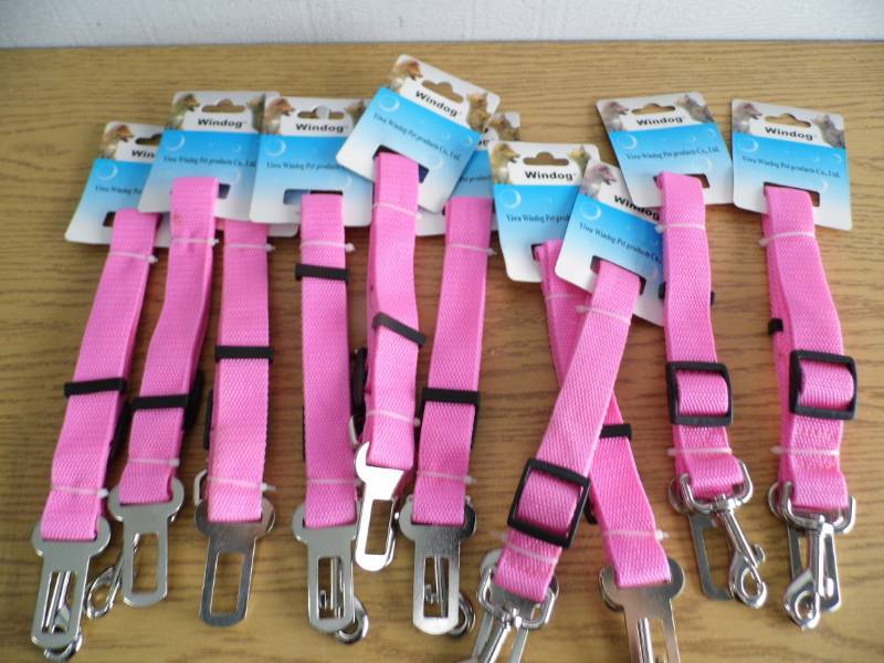 Lot of 10 Windogs