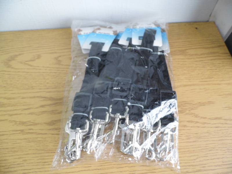Lot of 10 Windogs