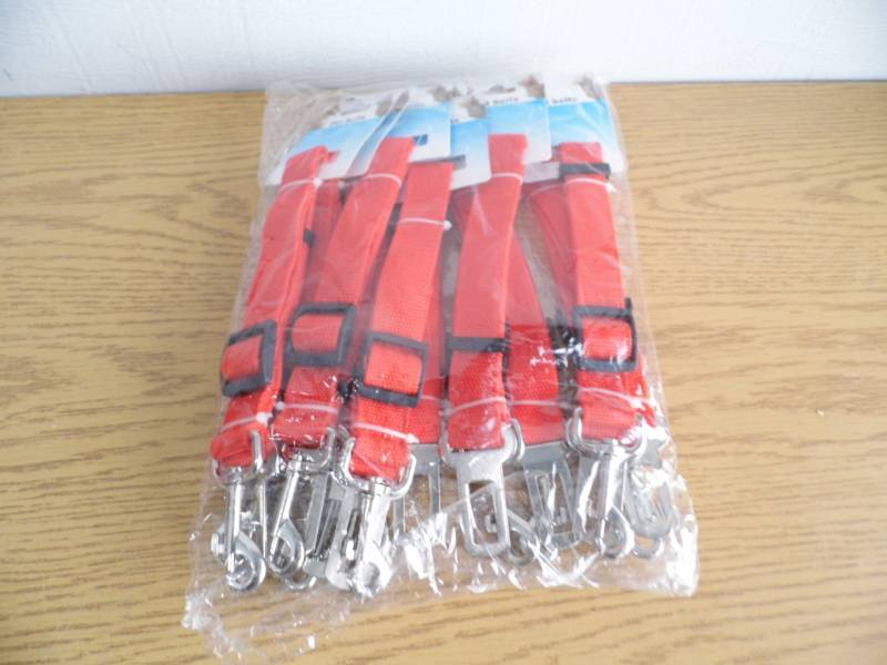 Lot of 10 Windogs