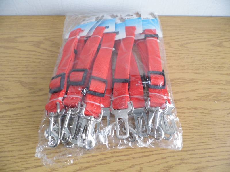 Lot of 10 Windogs