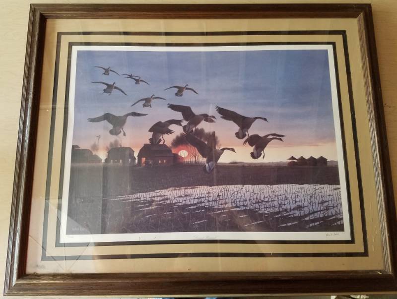 lot 96 image: John Bald framed Duck picture 93 of 1500
