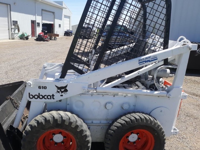 Bobcat
