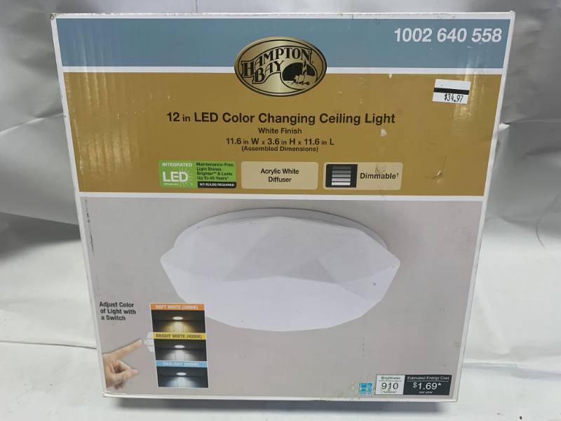 12 LED Color Changing Ceiling Light