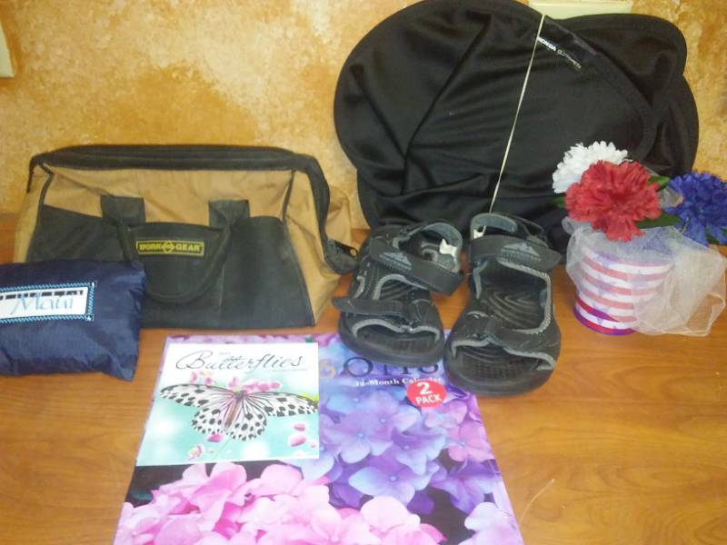 lot 202 image: Miscellaneous Honda Sun pet protector, sandals  pullover windbreaker - new and more.
