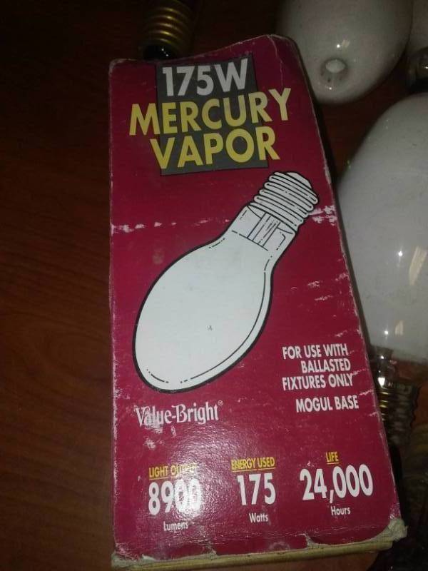 lot 219 image: 14 large base light bulbs