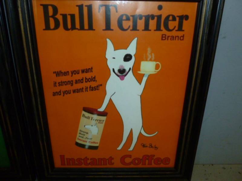 Advertisement Pictures