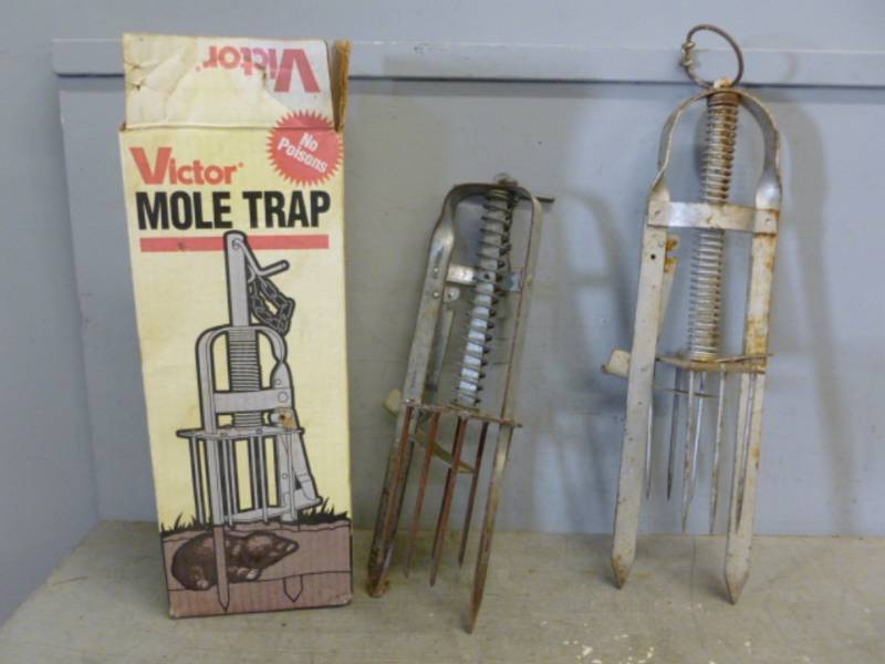 Gopher Traps