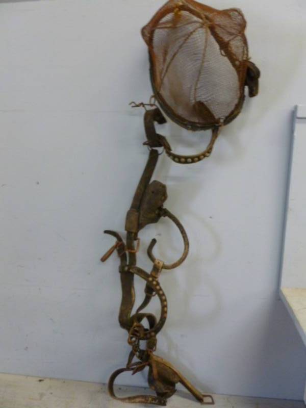 Antique Horse Equipment