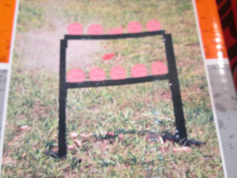 lot 203 image: Lot of 3 Champion Traps & Targets V...
