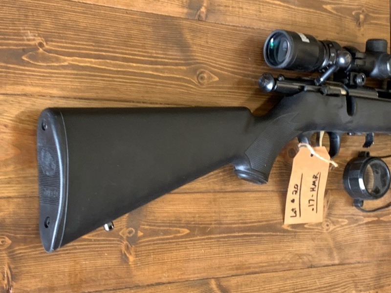 lot 20 image: Savage .17-HMR Rifle