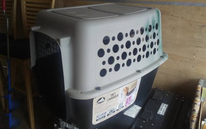 lot 51 image: Large Size Pet Kennel (Up To 50 Lbs)