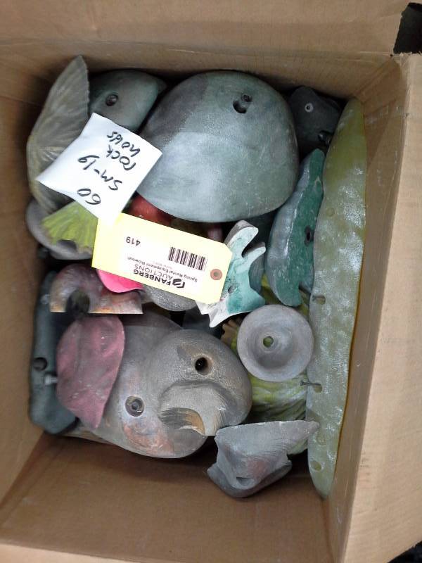 Lot of (60) Small-Large Rock Climbing Holds