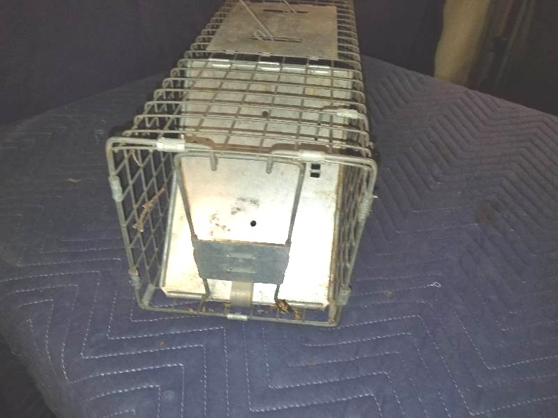 lot 9 image: Live Animal Trap