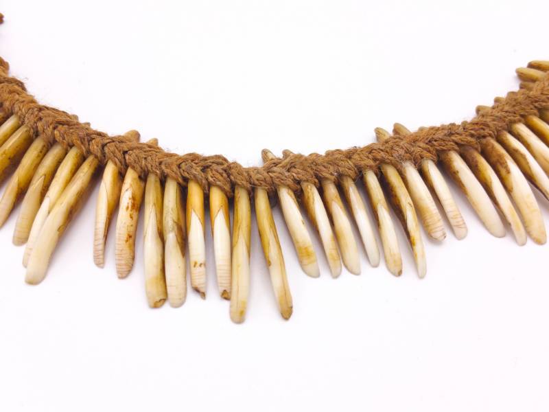 lot 408 image: Dani Tribe Ceremonial Tribal Animal Tooth Necklace