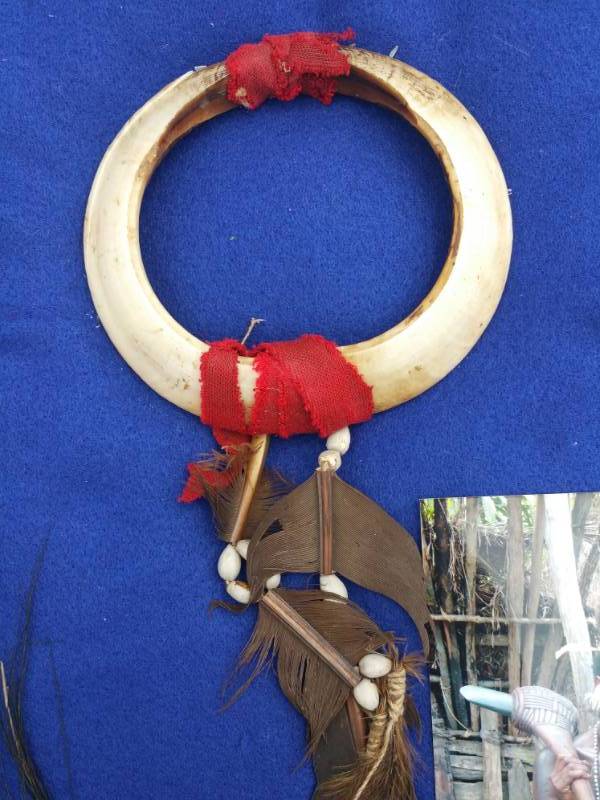 lot 407 image: Dani Tribe Animal Bone Nose Ring