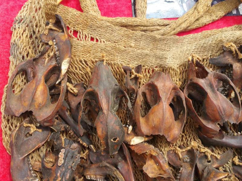 lot 401 image: Rare Dani Tribe Medicine Man Gathering Bag