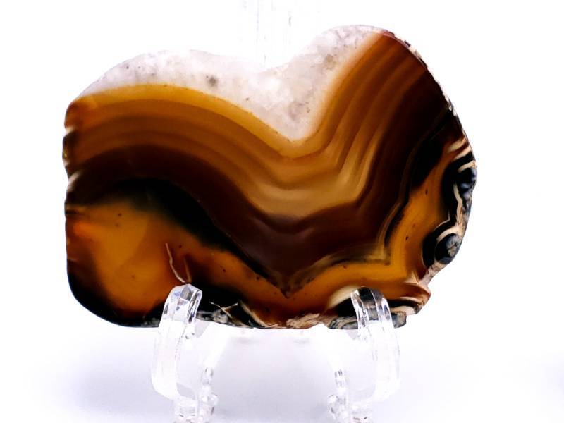 lot 604C image: (7) Polished Agate Slabs