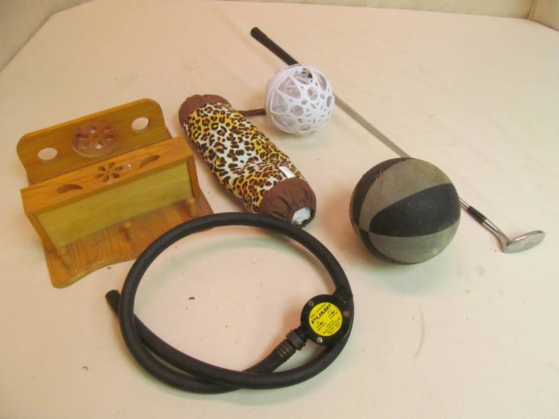 lot 125 image: drill powered pump, bag holder, wooden shelf, basketball , golf club
