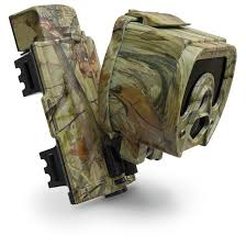 Sportsman 211